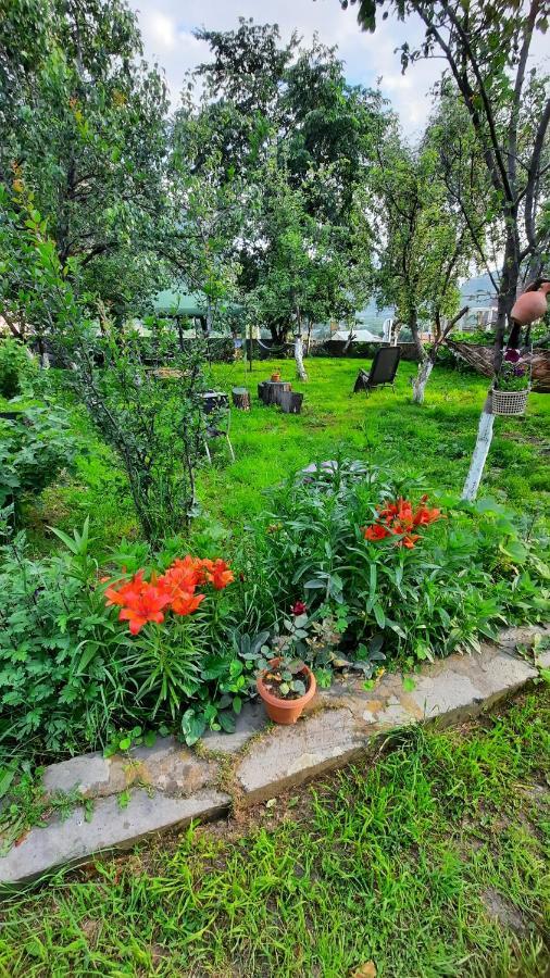 Apartments Gio-Nika Kazbegi Luaran gambar