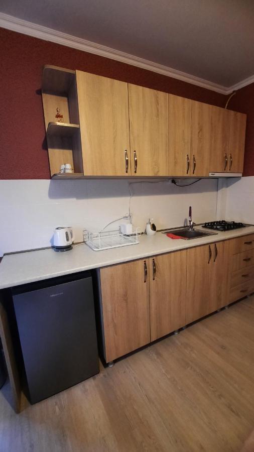 Apartments Gio-Nika Kazbegi Luaran gambar