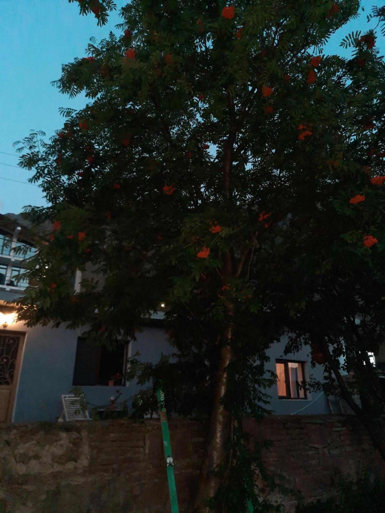 Apartments Gio-Nika Kazbegi Luaran gambar